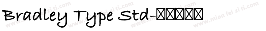 Bradley Type Std字体转换